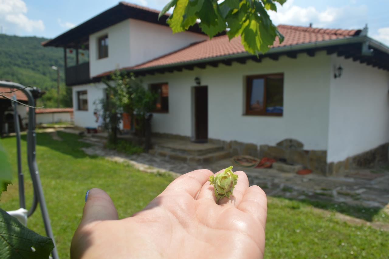 Guest House Yana Turkasheni Exterior foto