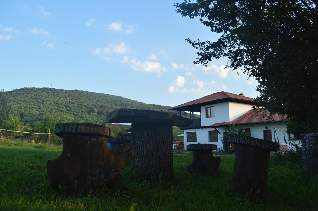 Guest House Yana Turkasheni Exterior foto