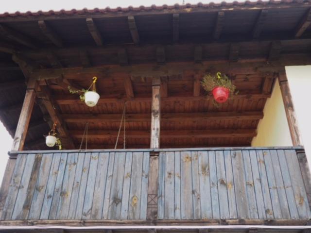 Guest House Yana Turkasheni Exterior foto
